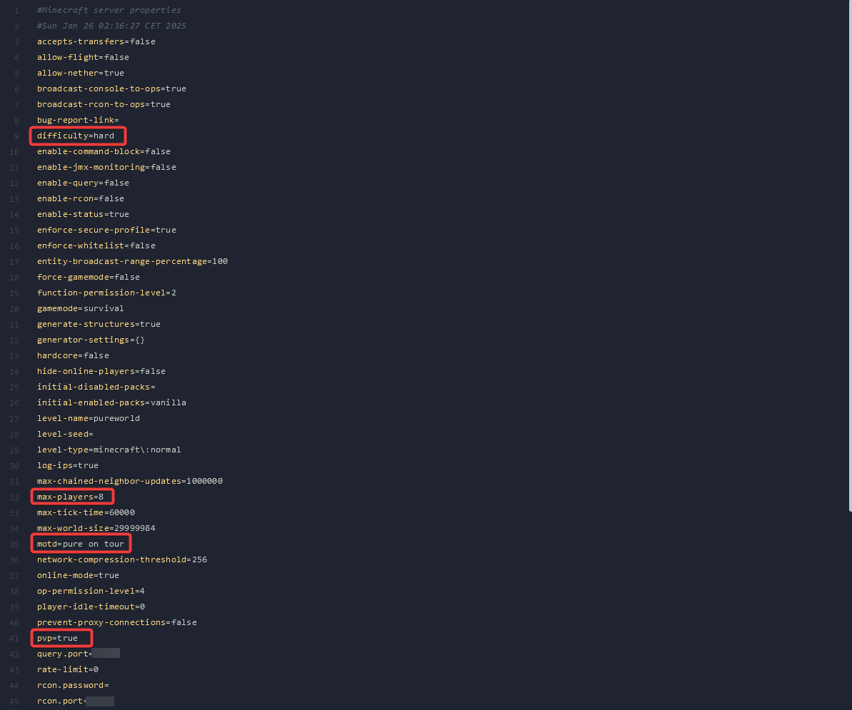 Minecraft server properties